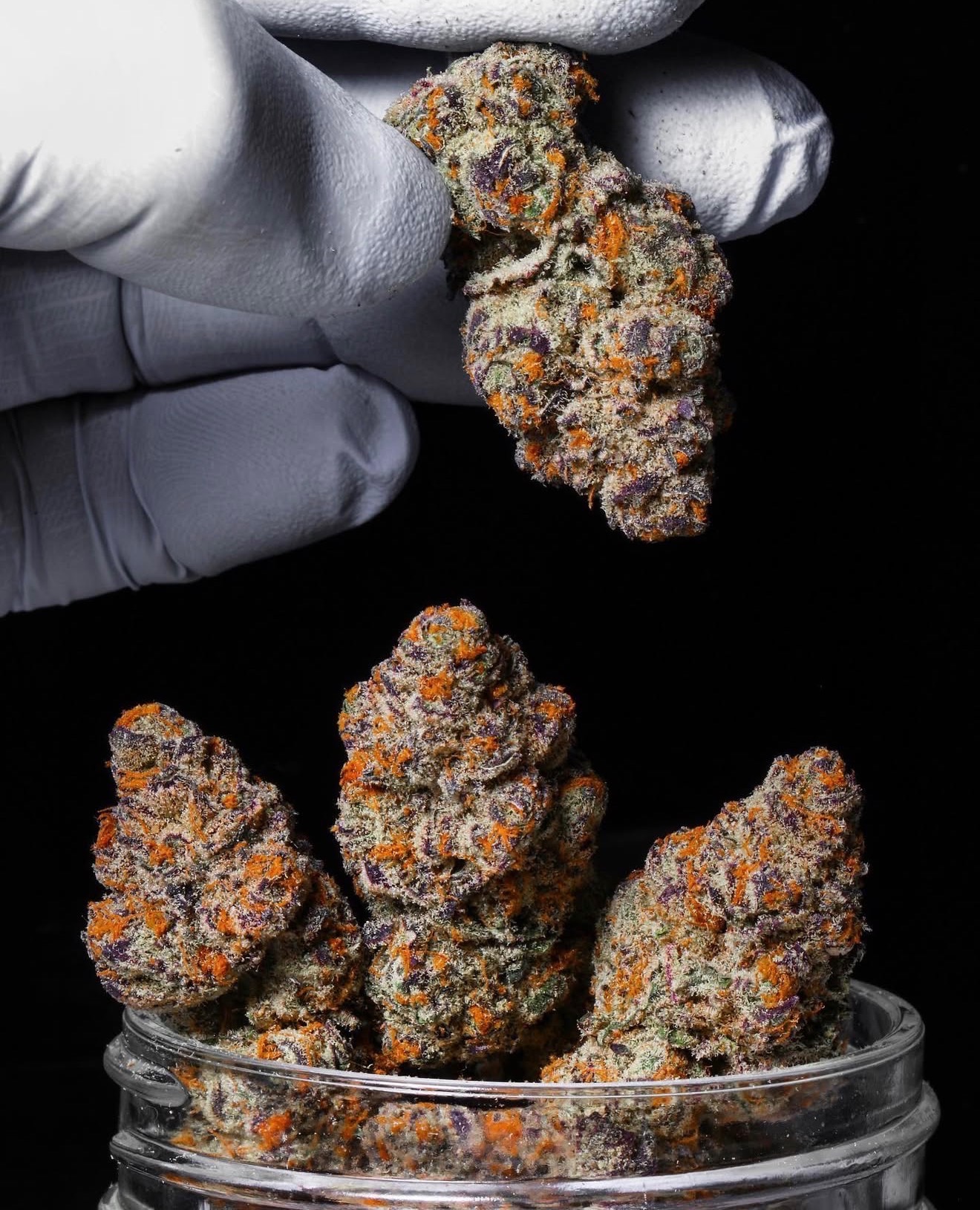 Bubblegum OG