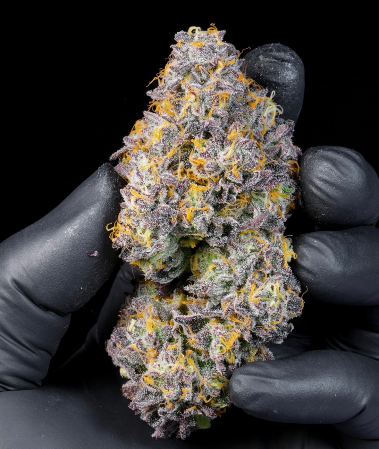 Blackberry Caviar